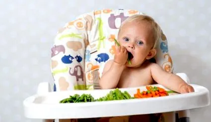 vegetarian