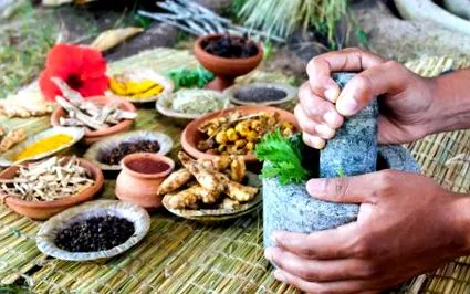 Maha Bhuta