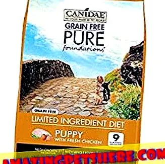 mâncare