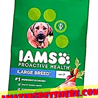mâncare