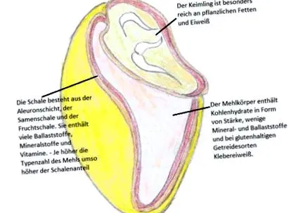 teljes