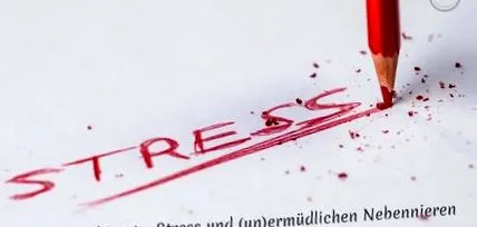 rész rész