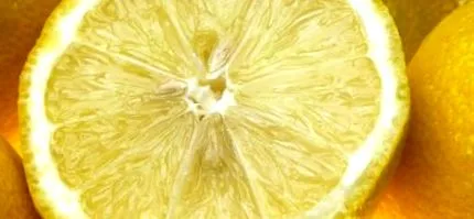 societatea