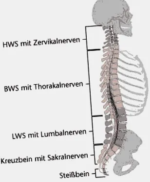 este