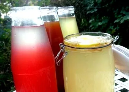 kefir