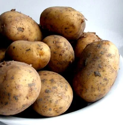 хранителни