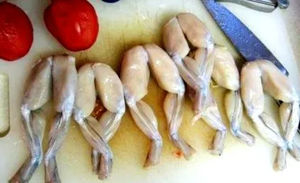 próbáltam