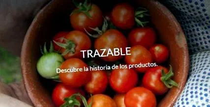 alkalmazás
