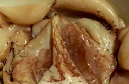 gătesc