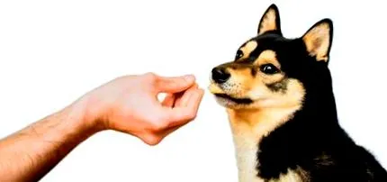 коли