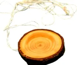 termékek