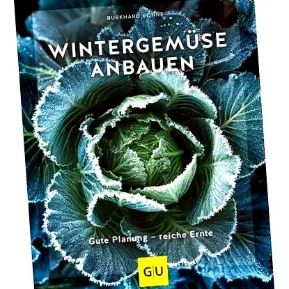 téli zöldségtermesztés