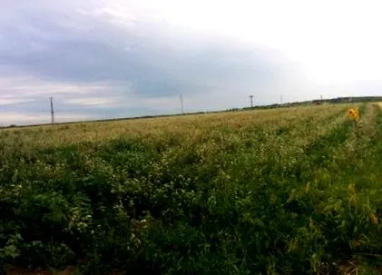 блог леќата
