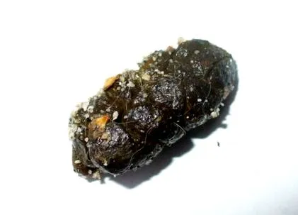 érdekes