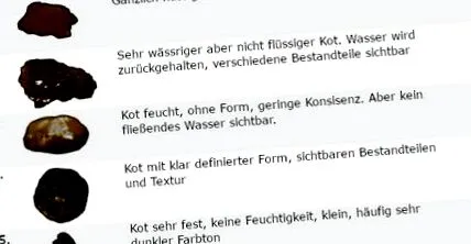 tények