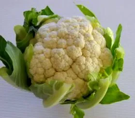 капуста