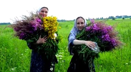 билки природен