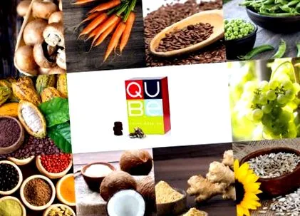 fázisú program