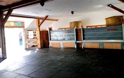 aktív
