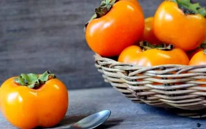 адстрингентна адстрингентно јадење