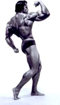 Arnold Schwarzenegger