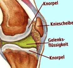 szemészet rheumatologie