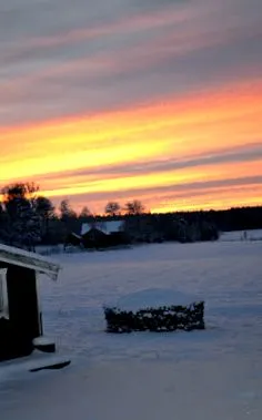 anneke 2016 december