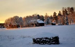 2016 december hodgepodge