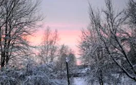 hodgepodge 2016 december