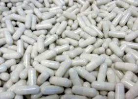 szervezet