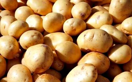 amelyekre