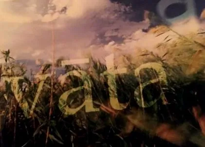 ayurveda