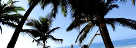 ayurveda beach