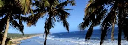 kerala cure