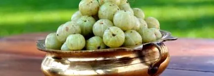 kerala manaltheeram