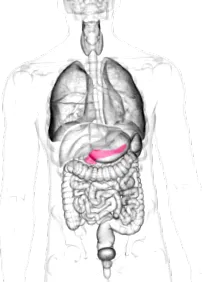 tratamentul