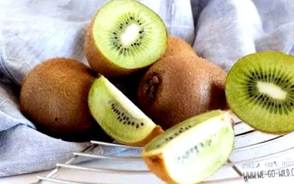 fruct