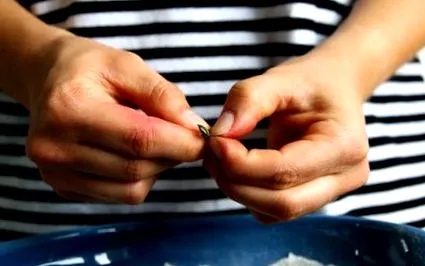 plăcire