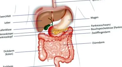 pancreasului sănătate