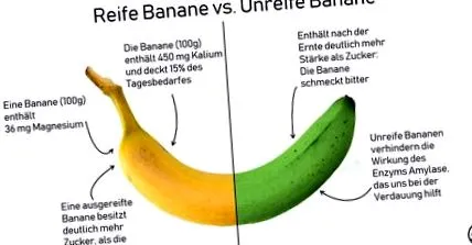 nutritive