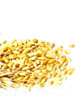 întrebări