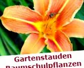 Berggenuss знайдете Berggenuss знайдете