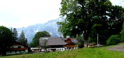 steinbauer