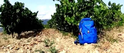 ріоха басків