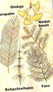pietre