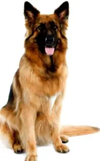 клучно