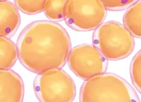 adipoase