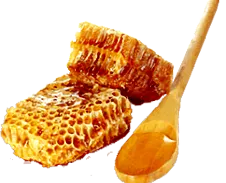 pentru copii