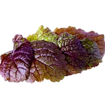 mulți ceea