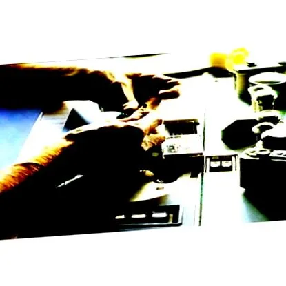 film jean-luc